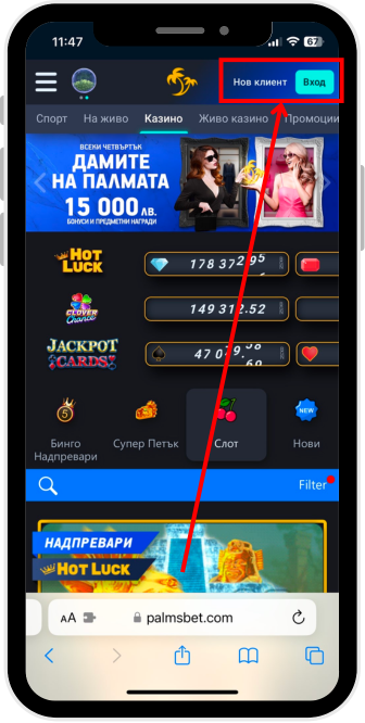 Отворете Палмс Бет сайта